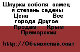 Шкурки соболя (самец) 1-я степень седены › Цена ­ 12 000 - Все города Другое » Продам   . Крым,Приморский